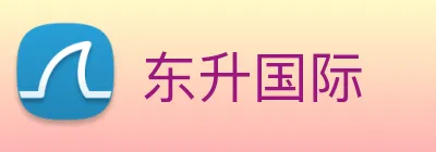 东升国际 logo